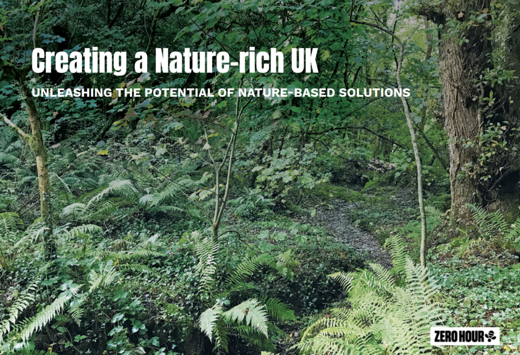 Cover of Creating a nature rich uk 