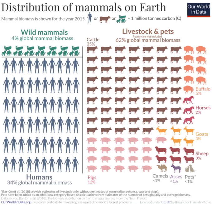 Nature is in crisis: wild mammals now only make up 4% of global mammal biomass
