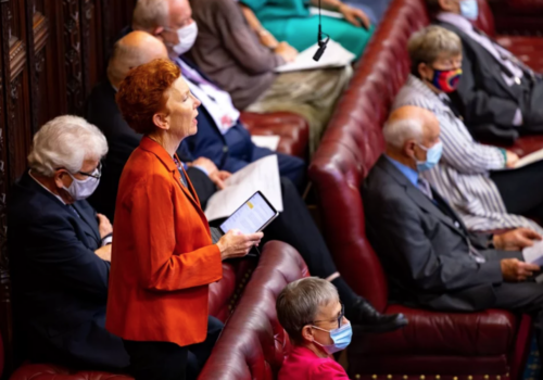 Big News – The Climate & Ecology Bill is heading to the Lords!