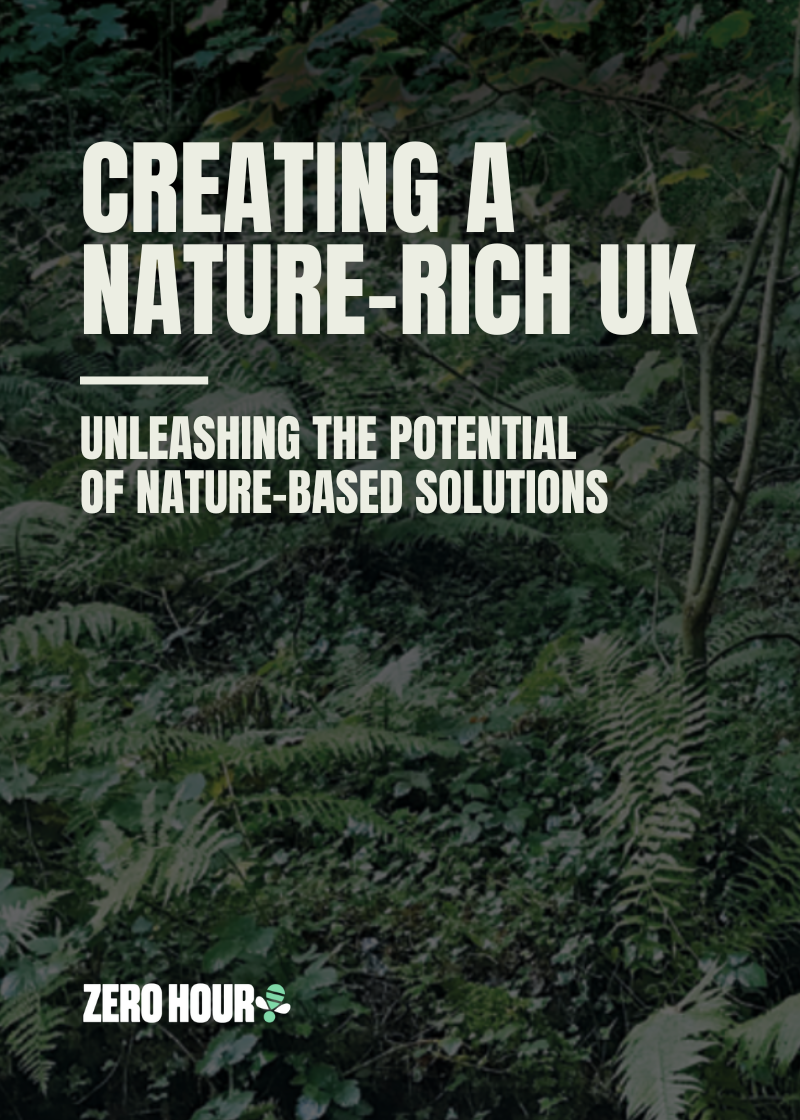 Creating a nature-rich UK
