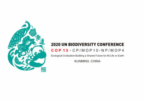 Let’s seize the chance to restore nature at COP15