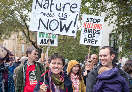 RESTORE NATURE NOW – Join us on 22nd June!